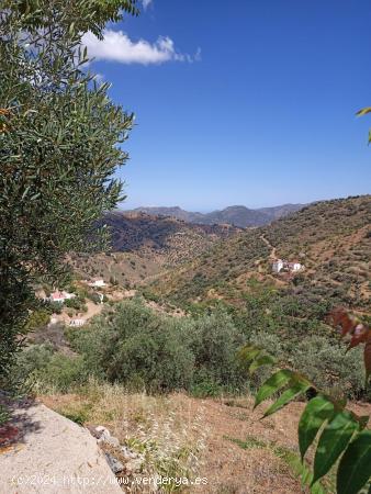  Casa en pleno Parque Natural Montes de Málaga - MALAGA 