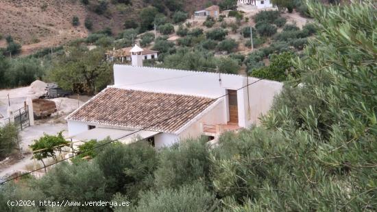 Exclusiva casa de campo en Riogordo - MALAGA