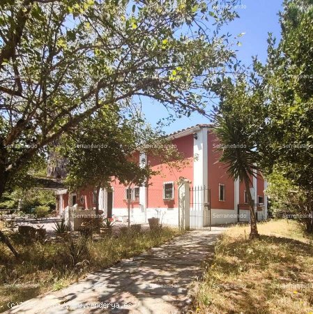 SE VENDE FINCA RÚSTICA EN VENTA EN ALMONASTER LA REAL (HUELVA) ESPAÑA. - Almonaster la Rea