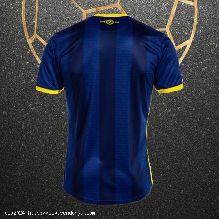 camiseta hellas verona