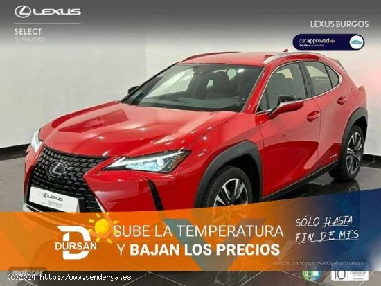  Lexus UX 250h 2.0 Executive Navigation 2wd de 2019 con 58.525 Km por 28.500 EUR. en Madrid 