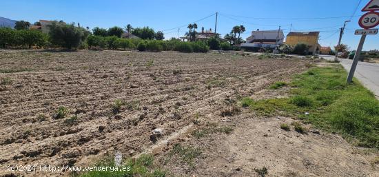 Terreno urbano en huerta de El Esparragal - MURCIA