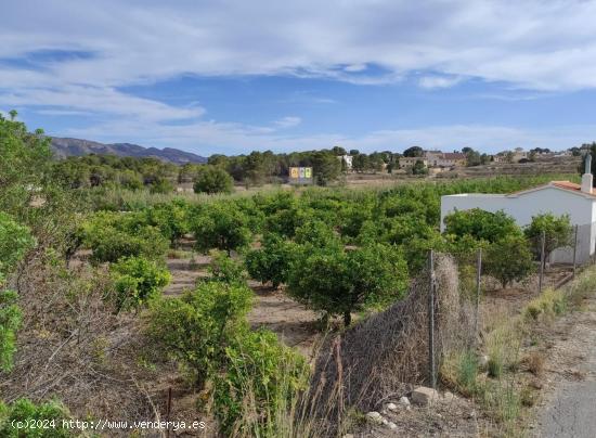 Finca rústica en La Nucía - ALICANTE