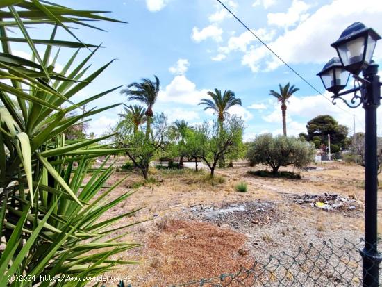 CAMPO EN ALQUILER A 5 MINUTOS DE ELCHE!!!! 3000 METROS DE PARCELA!!! - ALICANTE