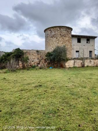 Finca rústica en Sa Pobla - BALEARES