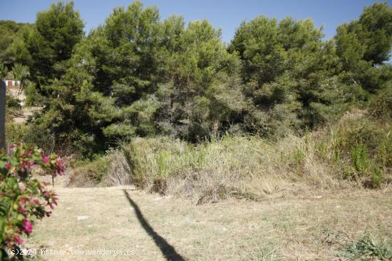 TERRENO URBANIZABLE DE 1300 M2 - TARRAGONA