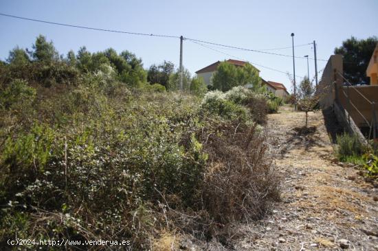 TERRENO URBANIZABLE DE 1300 M2 - TARRAGONA