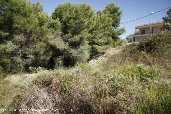 TERRENO URBANIZABLE DE 1300 M2 - TARRAGONA