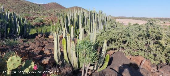  terreno urbanizable en venta en Guargacho - SANTA CRUZ DE TENERIFE 