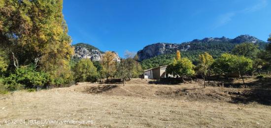  PARAISO NATURAL PARQUE NACIONAL  CAZORLA - JAEN 