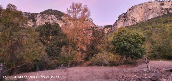 PARAISO NATURAL PARQUE NACIONAL  CAZORLA - JAEN