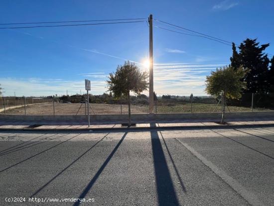  SOLAR AGRARIO EN CAMARLES - TARRAGONA 