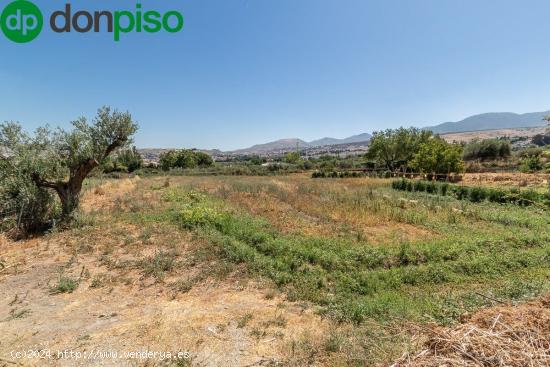 FINCA RÚSTICA EN ZONA INMEJORABLE, JUNTO C.C. ALHSUR - GRANADA