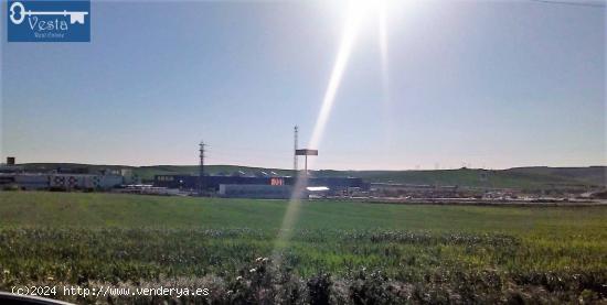 TERRENO EN VENTA EN LA CARRETERA DEL CALVARIO - CADIZ