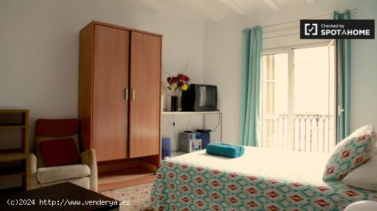 Habitación soleada con armario independiente en el apartamento compartido, Barri Gòtic - BARCELONA