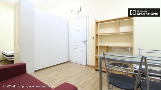 Precioso apartamento de 1 dormitorio en alquiler en Malasaña - MADRID