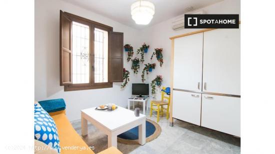 Piso de 1 dormitorio en alquiler en Granada - GRANADA