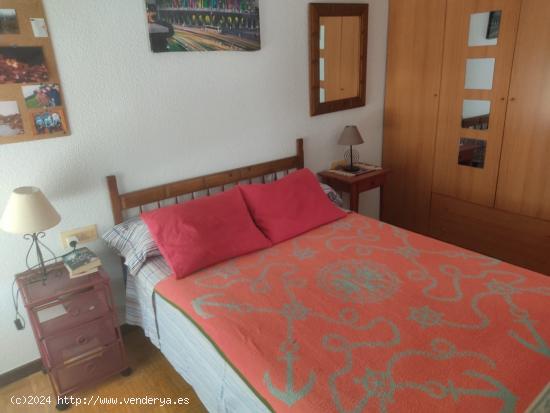 Centro - Apartamento Reformado de 2 Dormitorios - GRANADA