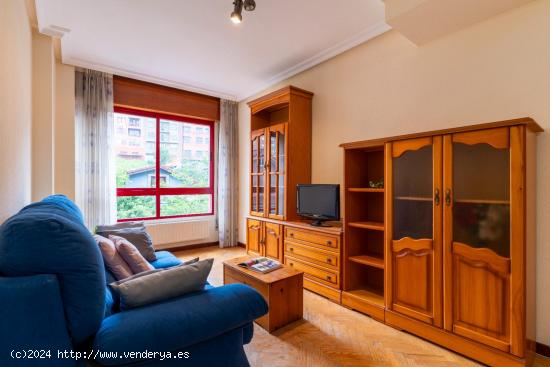 APARTAMENTO EN MONTE CERRAU 7 - ASTURIAS