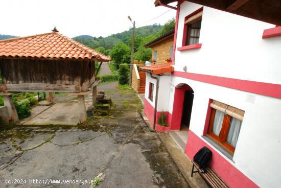 Se Vende en Villaviciosa - ASTURIAS