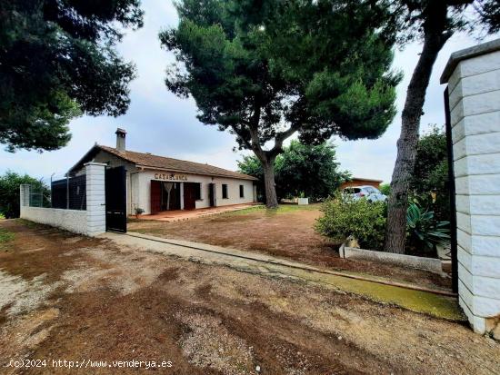 Casa de campo en plena huerta de la localidad de Dolores (Alicante). - ALICANTE