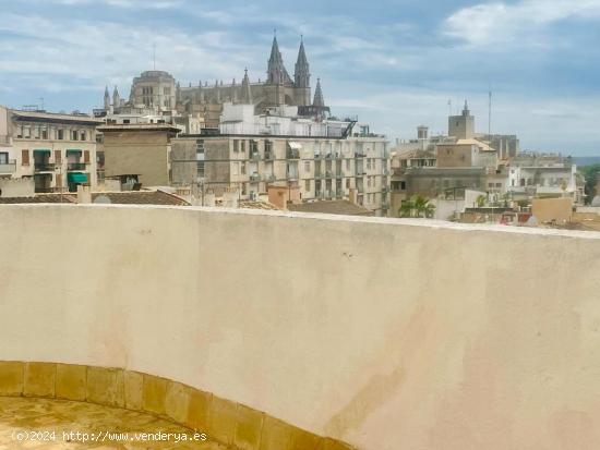 Con vistas a la catedral y al castillo Bellver, en Palma - BALEARES