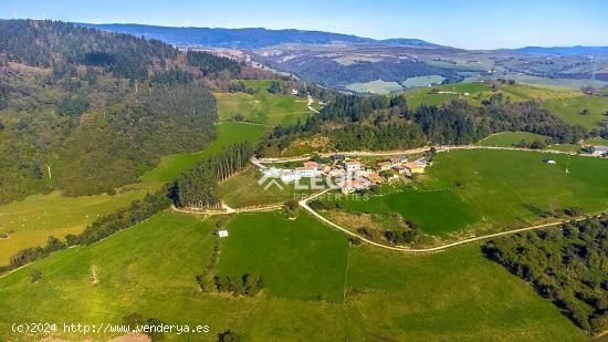 Casona Tradicional con Terraza, Piscina y Fincas - ASTURIAS