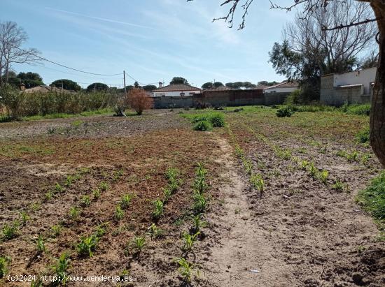 VENTA DE PARCELA SEGREGADA EN PAGO DEL HUMO - CADIZ