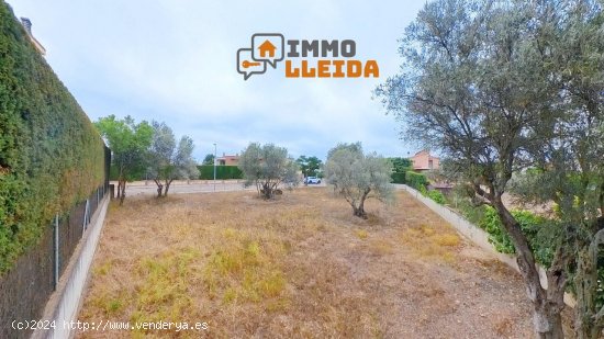 Suelo urbano en venta  en Cervera - Lleida