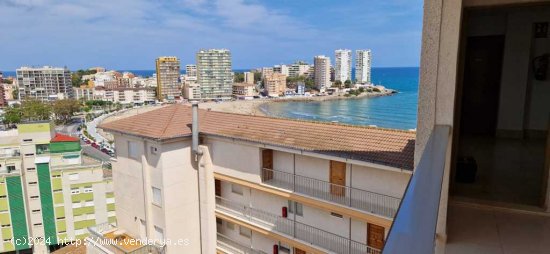 Apartamento en Alquiler vacacional en Oropesa Del Mar Castellón