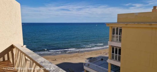 Apartamento en Alquiler vacacional en Oropesa Del Mar Castellón