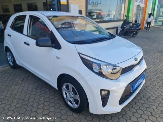 KIA Picanto en venta en AlcalÃ¡ de GuadaÃ­ra (Sevilla) - AlcalÃ¡ de GuadaÃ­ra