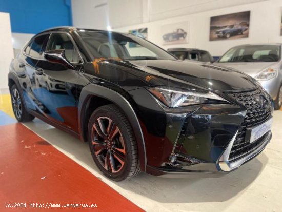 LEXUS UX en venta en AlcalÃ¡ de GuadaÃ­ra (Sevilla) - AlcalÃ¡ de GuadaÃ­ra