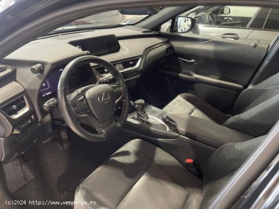 LEXUS UX en venta en AlcalÃ¡ de GuadaÃ­ra (Sevilla) - AlcalÃ¡ de GuadaÃ­ra