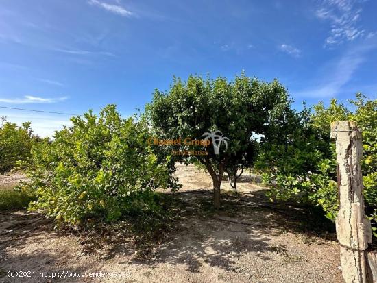 SE VENDE CASA DE CAMPO EN PARTIDA LA HOYA! - ALICANTE