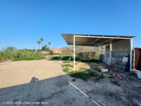 Parcela en Torreagüera - Camino Viejo de Orihuela - MURCIA