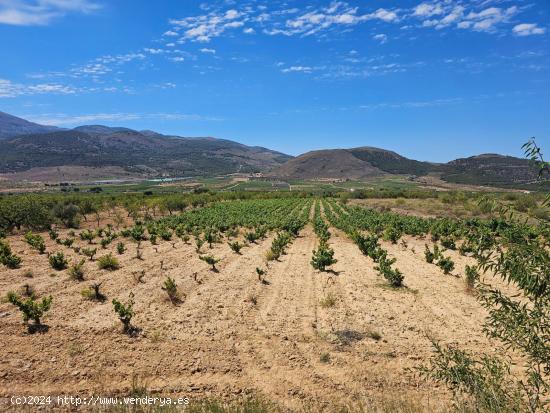  FINCA EN LLANO DE LAUJAR DE ANDARAX - ALMERIA 