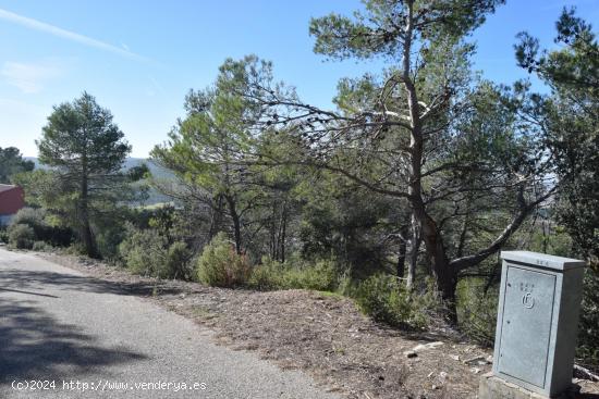 PARCELA CON VISTAS AL VALLE DEL TAJO - GUADALAJARA