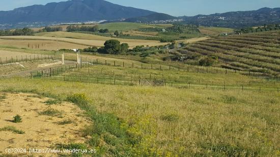 SE VENDE PARCELA RUSTICA EN COIN - MALAGA