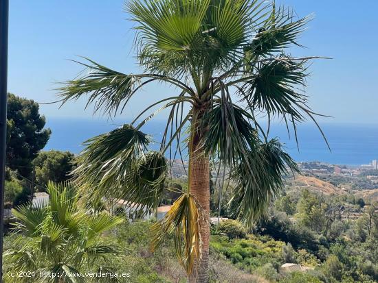 suelo Hotelero carretera de Mijas Pueblo - MALAGA