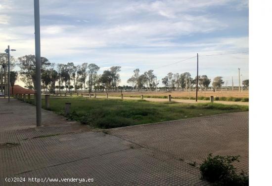 PARCELA MT4 USO TERCIARIO-OFICINAS.  NUEVO ESTADIO COLOMBINO-HUELVA - HUELVA