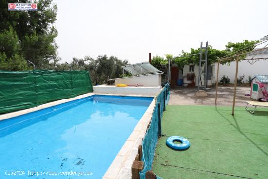 SE VENDE CHALET CON LUZ, AGUA, 400 OLIVOS - CIUDAD REAL