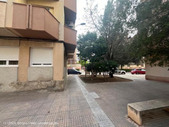 PLANTA BAJA CERCA DE ZONAS VERDES. REFORMADA - ALBACETE