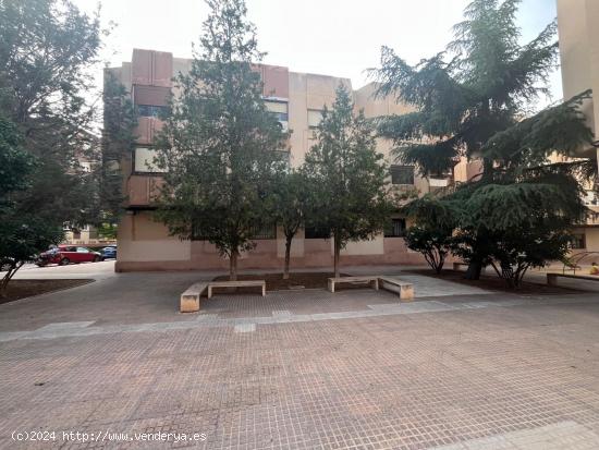 PLANTA BAJA CERCA DE ZONAS VERDES. REFORMADA - ALBACETE