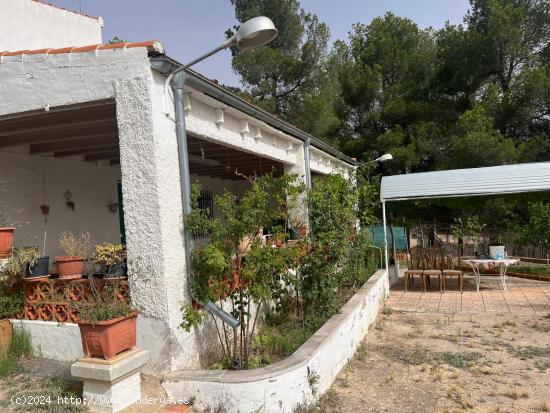 CHALET CON PISCINA Y POZO. TODO VALLADO. ZONA  LAS NORIAS  ASFALTADO - ALBACETE