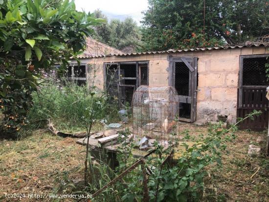 SOLAR EN UNA ZONA TRANQUILA DE PETRA - BALEARES