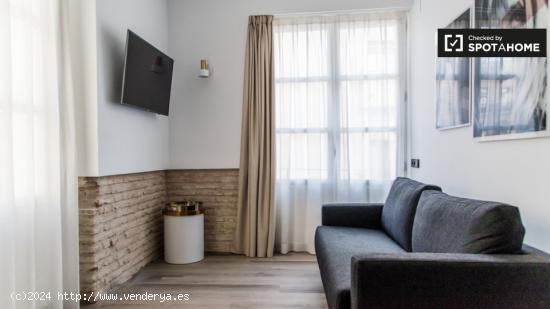 Apartamento de 1 dormitorio recientemente renovado con tres balcones en alquiler en Ciutat Vella - V