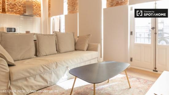 Acogedor apartamento de 1 dormitorio en alquiler en La Latina - MADRID