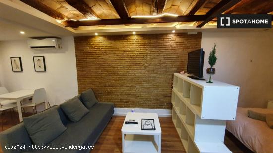 Estudio en barcelona - BARCELONA