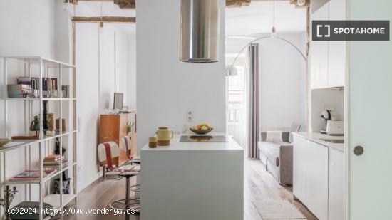 Apartamento de 1 dormitorio en alquiler en Lavapiés - MADRID